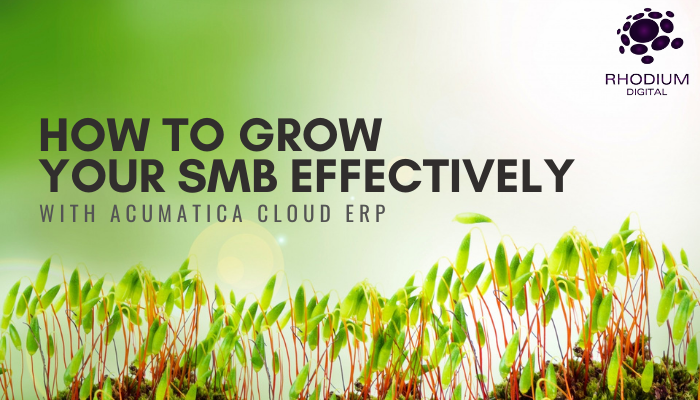 How to Grow Your SMB Effectively with Acumatica Cloud ERP